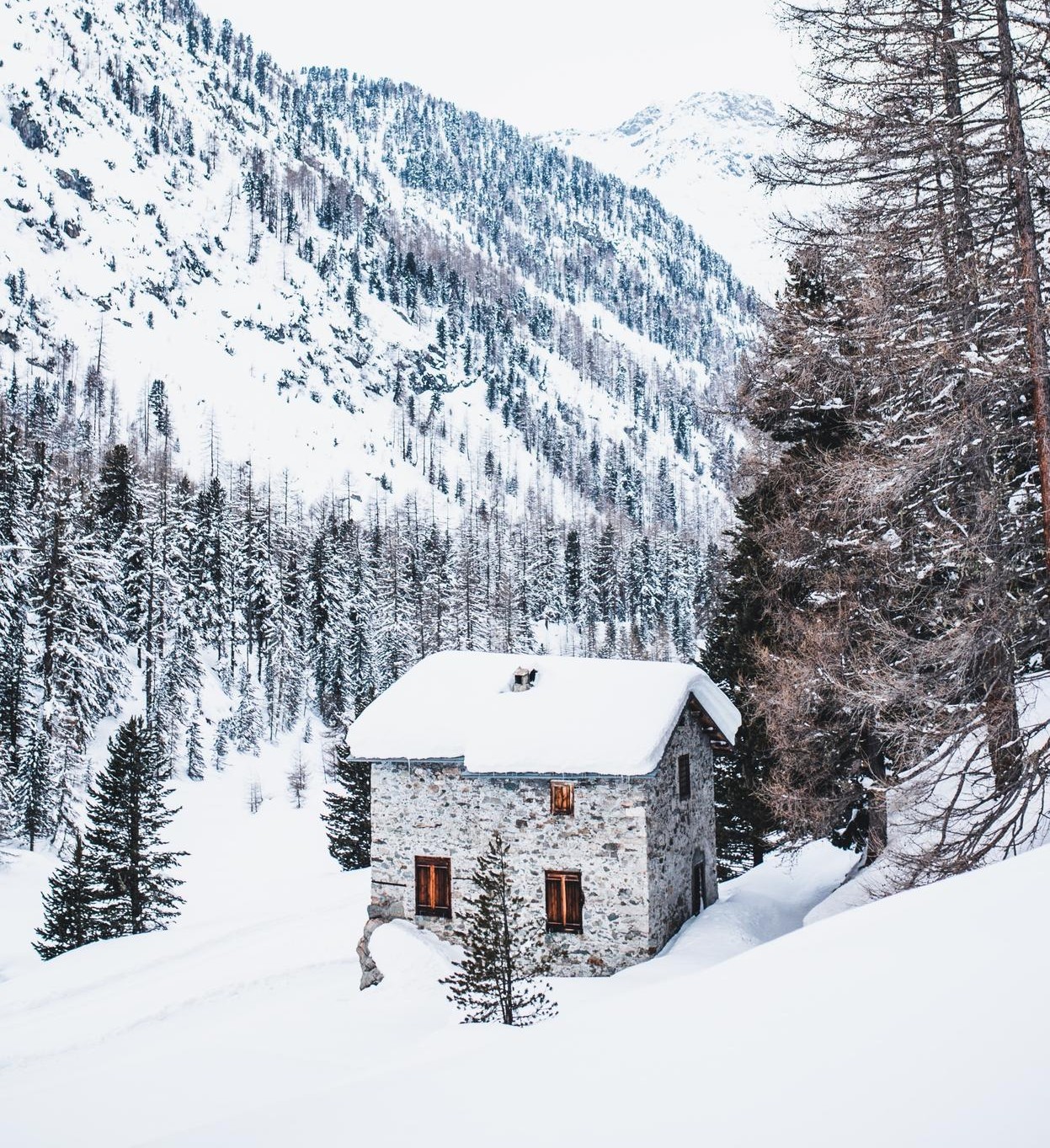 • Grifo Vacances, spécialiste location vacances en Andorre vous propose une large sélection de logements rénovés, confortablement aménagés et entièrement équipés tout confort. • Tous nos logements sont idéalement situés à maximum 100 mètres du départ des pistes pour des séjours skis aux pieds sur le plus grand domaine skiable des Pyrénées. • Deux destinations possibles : Le Pas de la Casa, ville animée skis pied des pistes Soldeu – El Tarter, village de charme avec accès direct aux pistes 